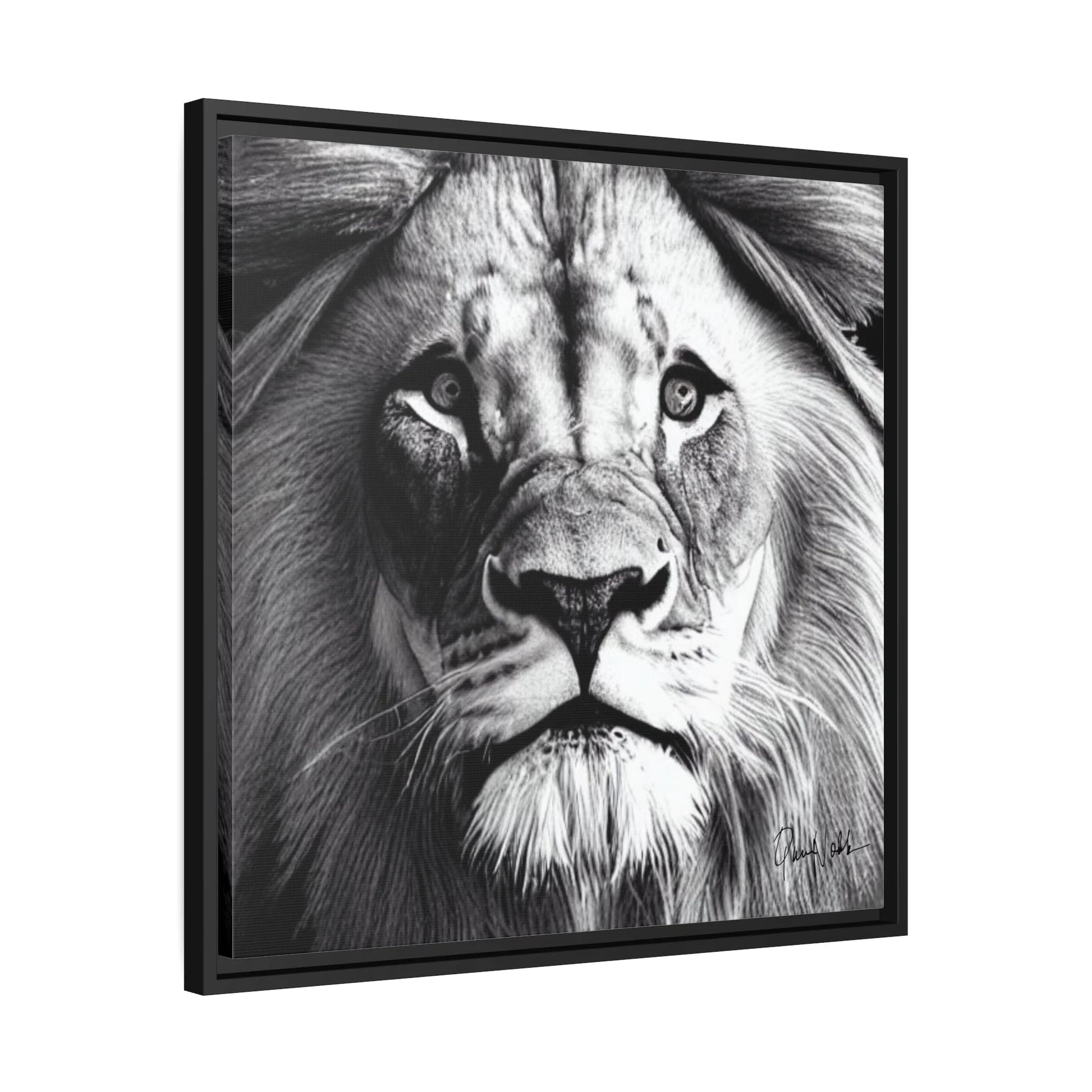 LION'S FACE Canvas Wall Art Matte with Frame by Queennoble