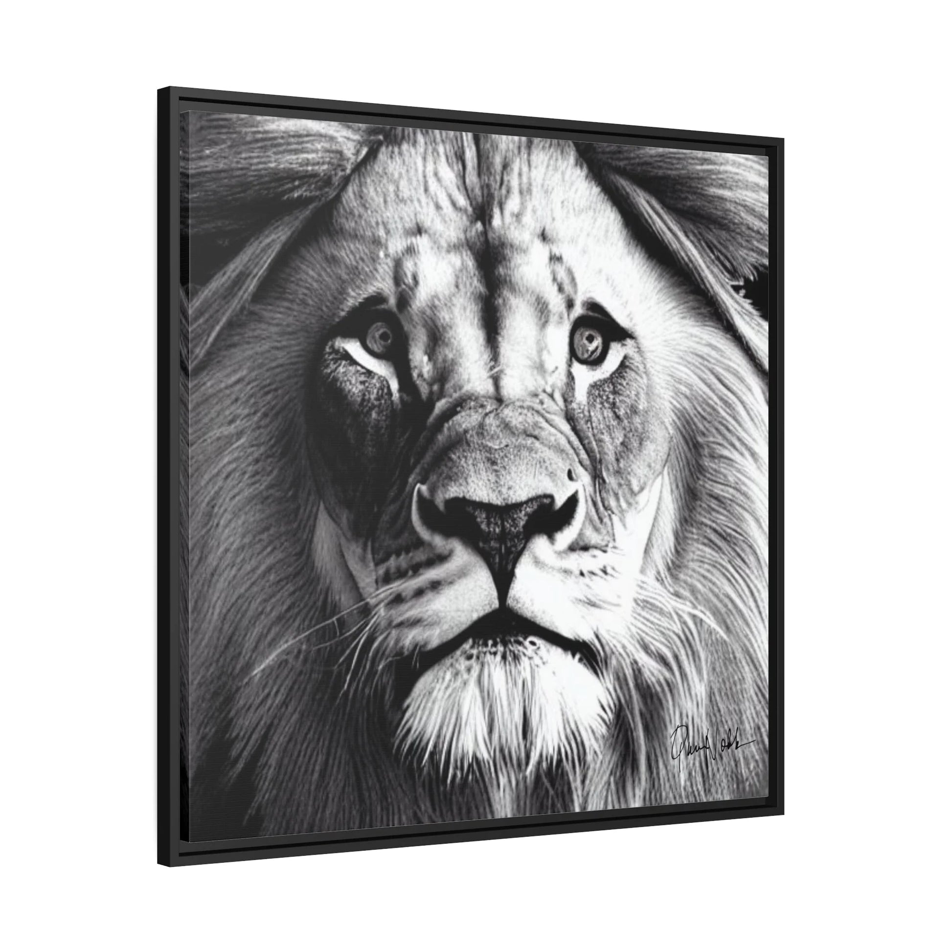 LION'S FACE Canvas Wall Art Matte with Frame by Queennoble