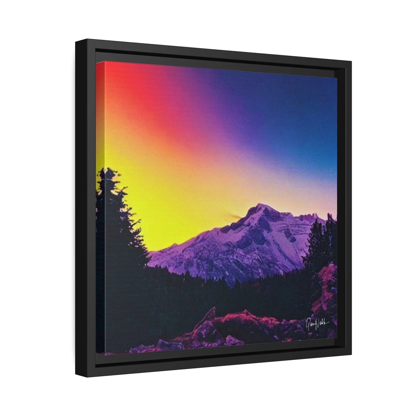 COLORFUL Fine Art Photography Canvas Prints with Frames by Queennoble